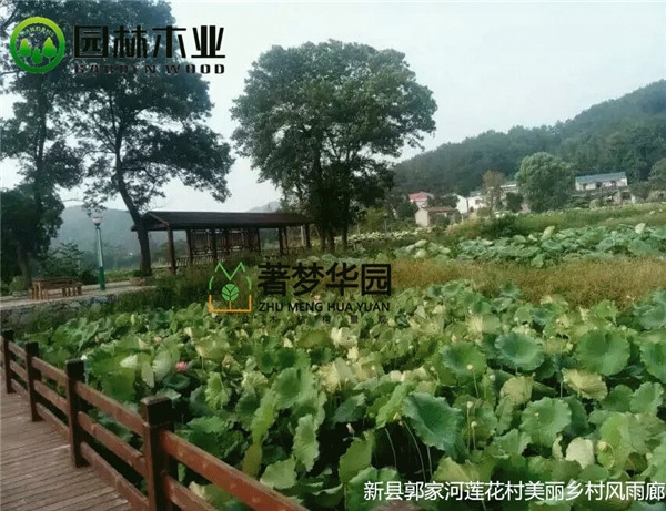 榴莲视频免费APP风雨廊